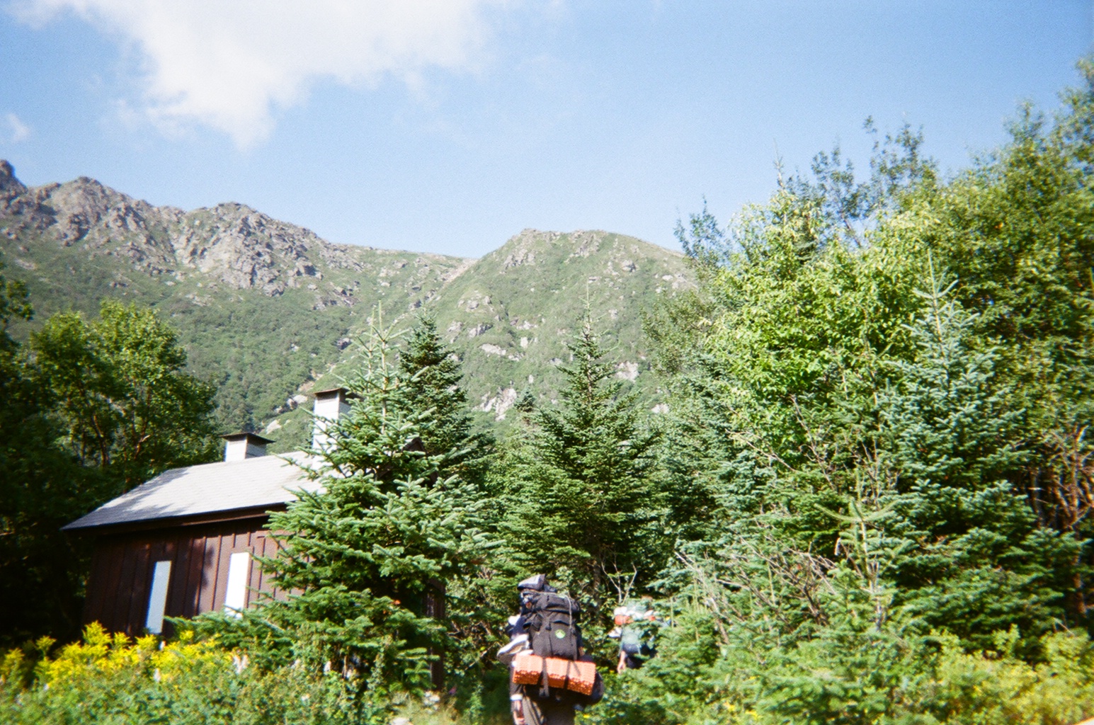 Alt text for the image